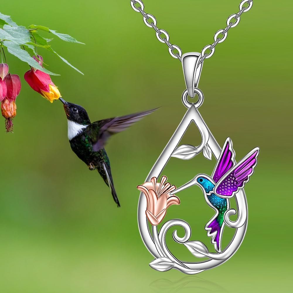 Beautiful Hummingbird Necklace for Women with Bonus Earrings